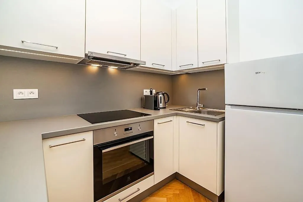 Incredibly Cozy And Spacious Apt Praag 0*,
